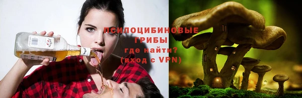 тгк Баксан