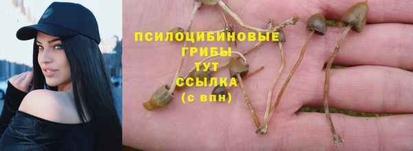 мескалин Армянск