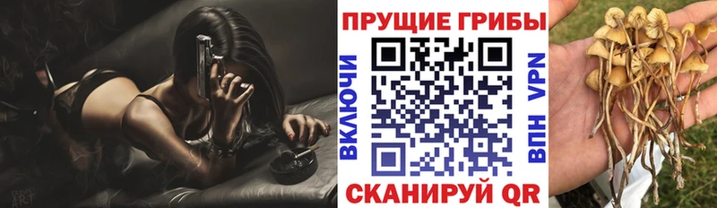 как найти   Зима  Псилоцибиновые грибы ЛСД 